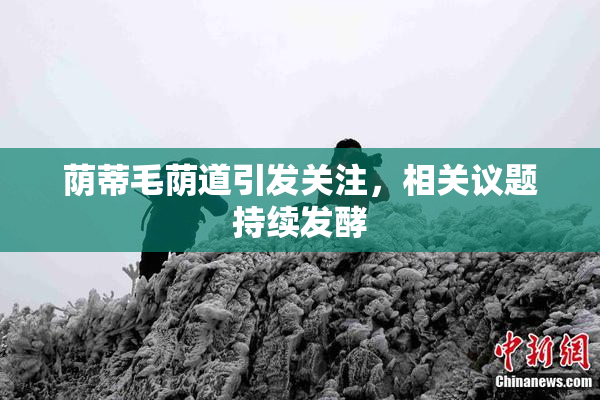 荫蒂毛荫道引发关注，相关议题持续发酵