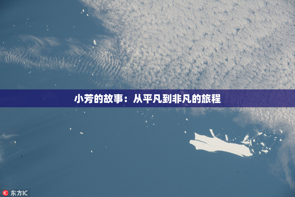 小芳的故事：从平凡到非凡的旅程