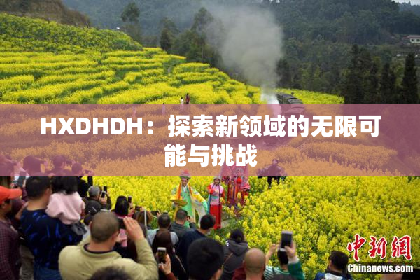 HXDHDH：探索新领域的无限可能与挑战
