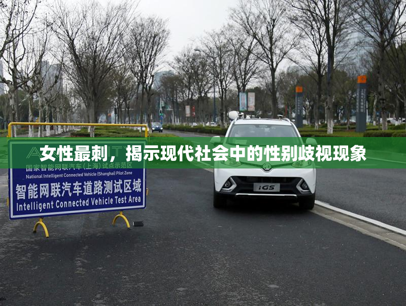 女性最刺，揭示现代社会中的性别歧视现象