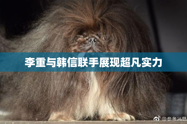 李重与韩信联手展现超凡实力