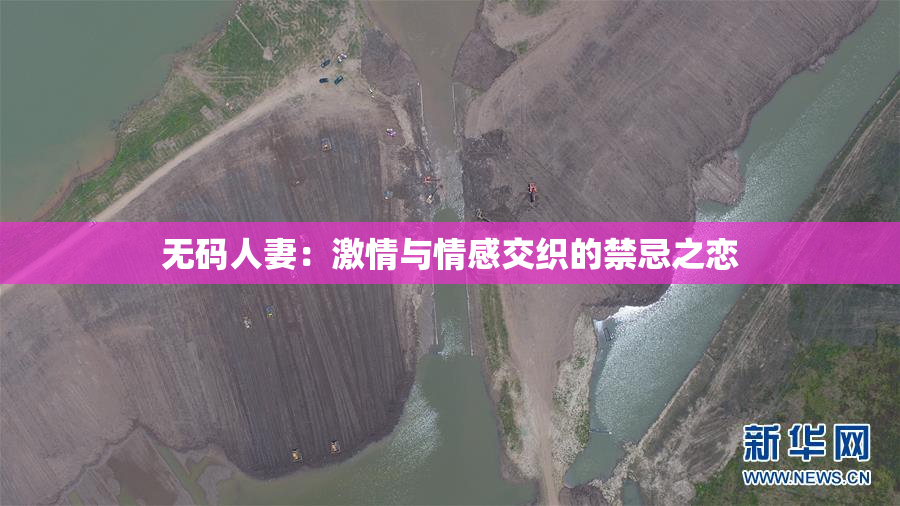 无码人妻：激情与情感交织的禁忌之恋