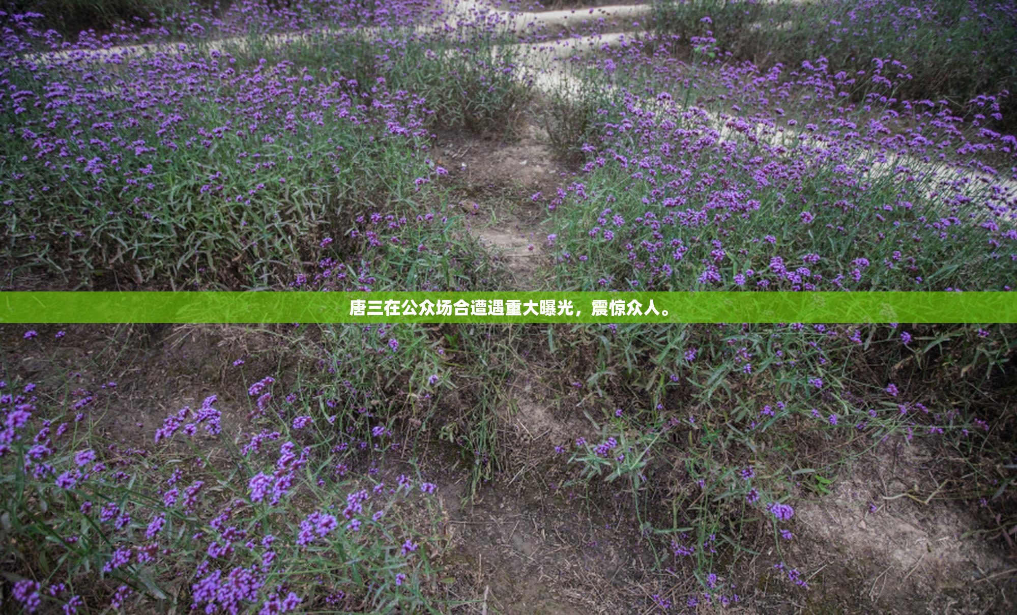 唐三在公众场合遭遇重大曝光，震惊众人。