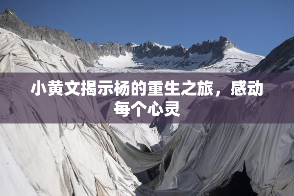 小黄文揭示杨的重生之旅，感动每个心灵