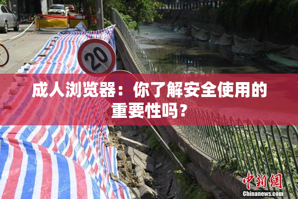 成人浏览器：你了解安全使用的重要性吗？