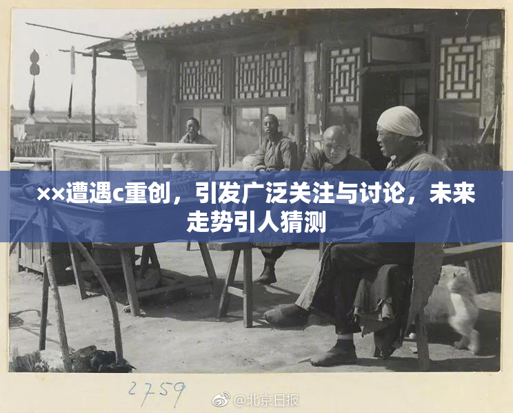 ××遭遇c重创，引发广泛关注与讨论，未来走势引人猜测