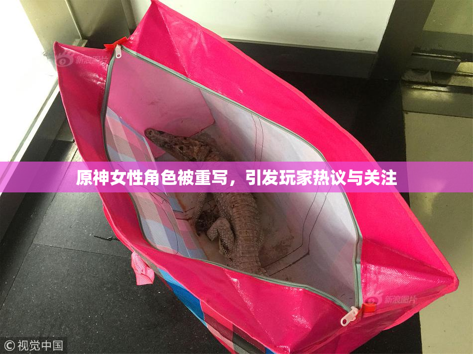原神女性角色被重写，引发玩家热议与关注