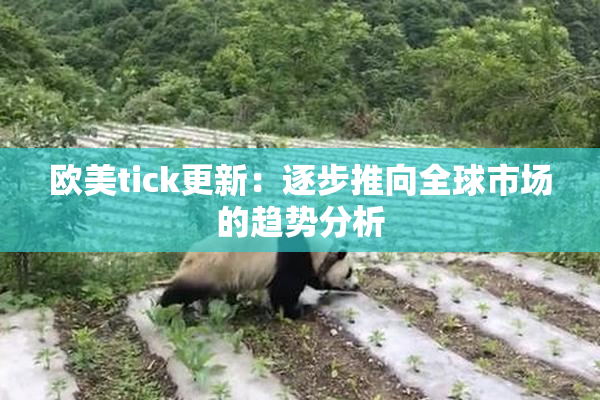 欧美tick更新：逐步推向全球市场的趋势分析