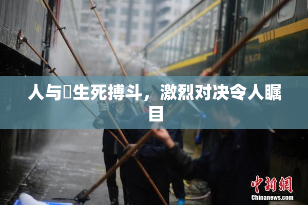 人与嘼生死搏斗，激烈对决令人瞩目