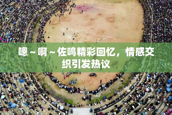嗯～啊～佐鸣精彩回忆，情感交织引发热议
