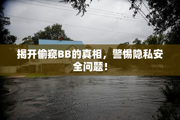 揭开偷窥BB的真相，警惕隐私安全问题！