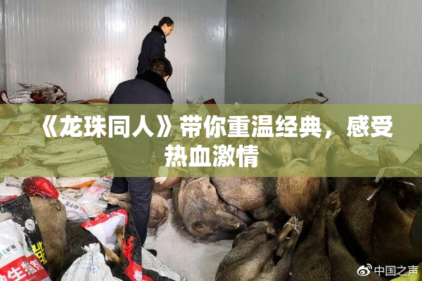 《龙珠同人》带你重温经典，感受热血激情