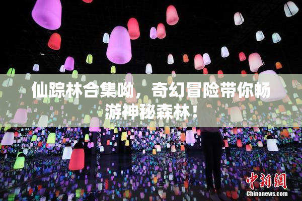 仙踪林合集呦，奇幻冒险带你畅游神秘森林！