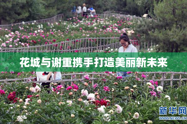花城与谢重携手打造美丽新未来