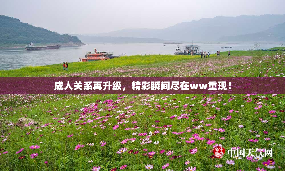成人关系再升级，精彩瞬间尽在ww重现！