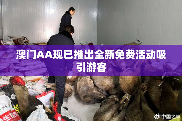 澳门AA现已推出全新免费活动吸引游客