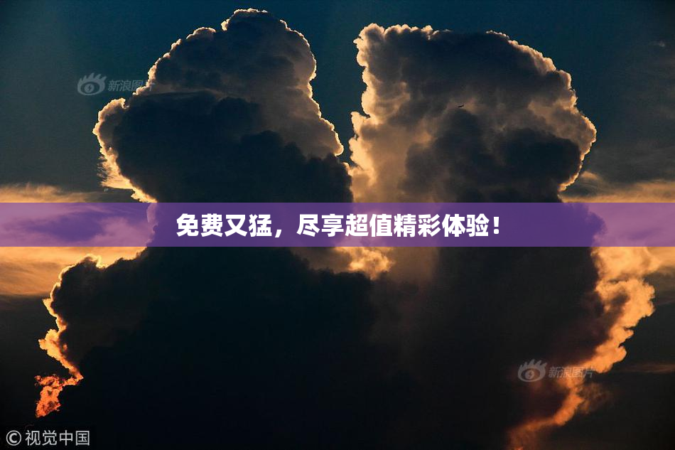 免费又猛，尽享超值精彩体验！