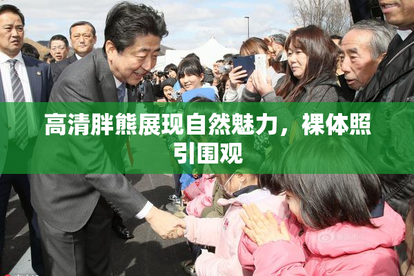 高清胖熊展现自然魅力，裸体照引围观