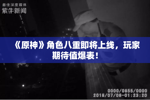 《原神》角色八重即将上线，玩家期待值爆表！