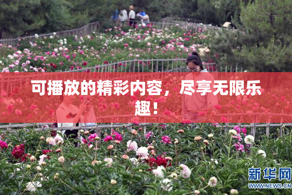 可播放的精彩内容，尽享无限乐趣！