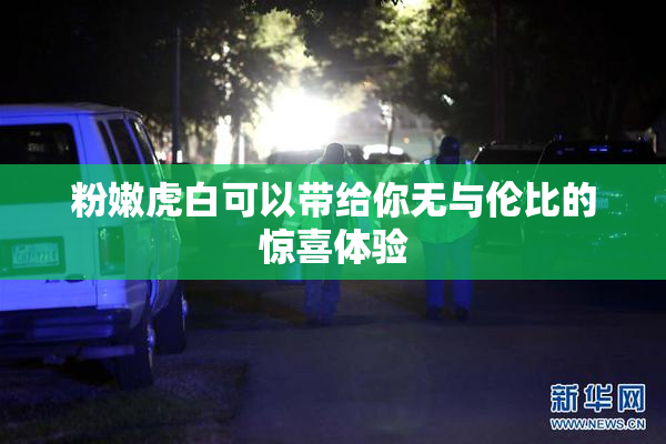 粉嫩虎白可以带给你无与伦比的惊喜体验