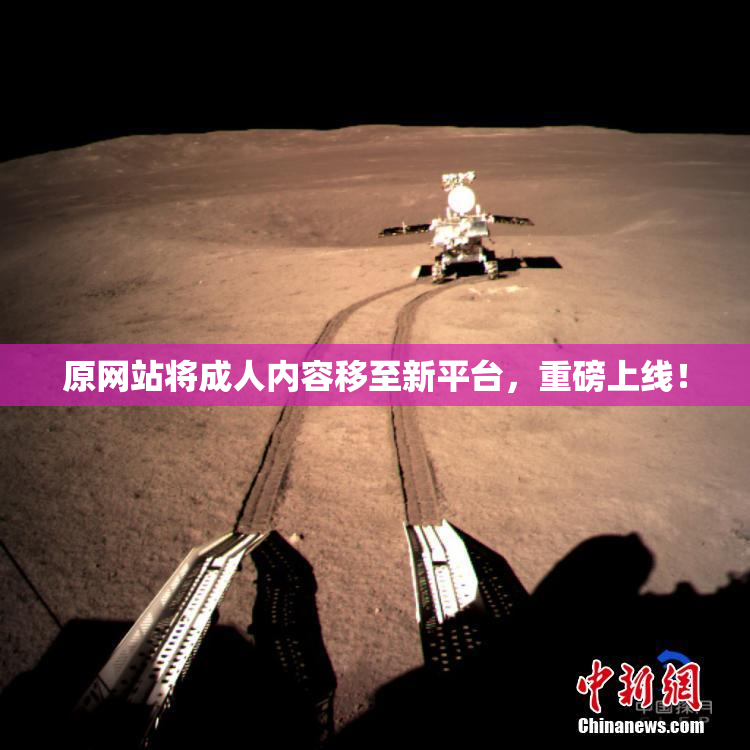 原网站将成人内容移至新平台，重磅上线！
