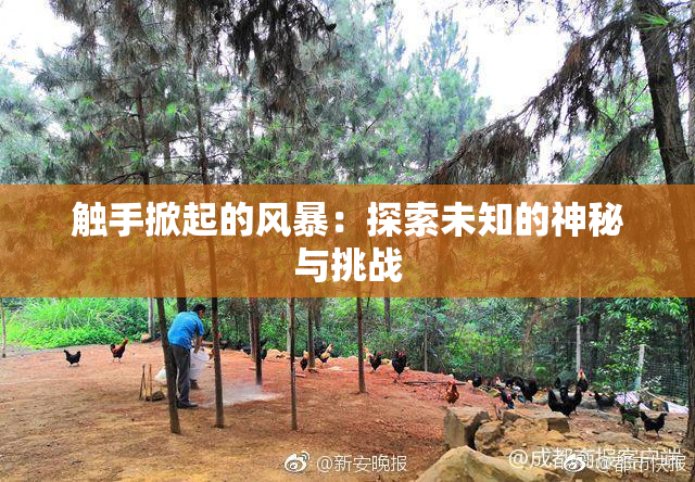 触手掀起的风暴：探索未知的神秘与挑战