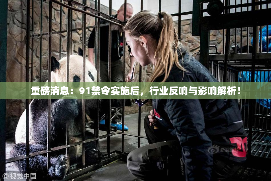 重磅消息：91禁令实施后，行业反响与影响解析！