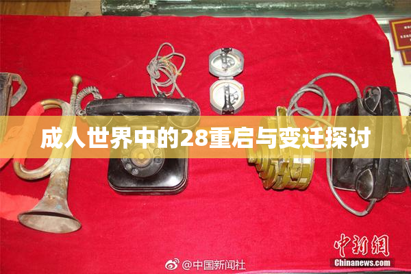 成人世界中的28重启与变迁探讨