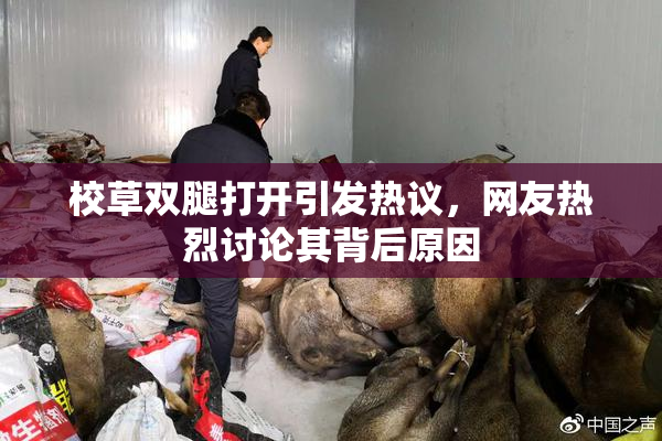 校草双腿打开引发热议，网友热烈讨论其背后原因