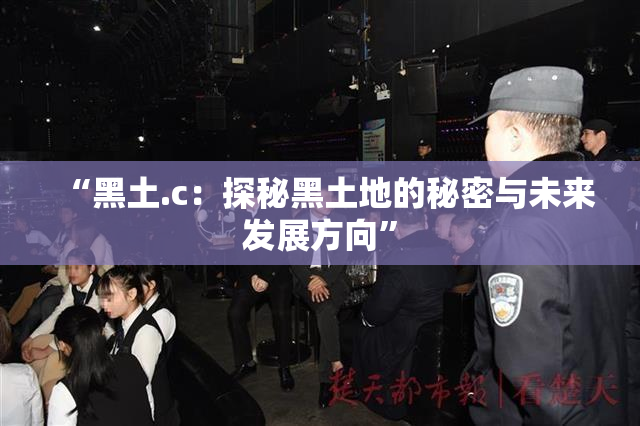 “黑土.c：探秘黑土地的秘密与未来发展方向”