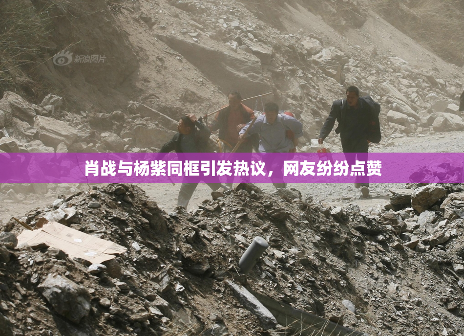肖战与杨紫同框引发热议，网友纷纷点赞