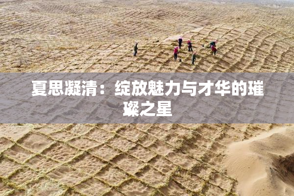 夏思凝清：绽放魅力与才华的璀璨之星