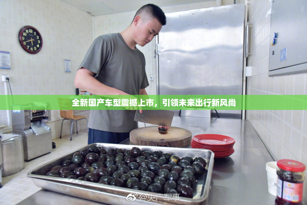 全新国产车型震撼上市，引领未来出行新风尚
