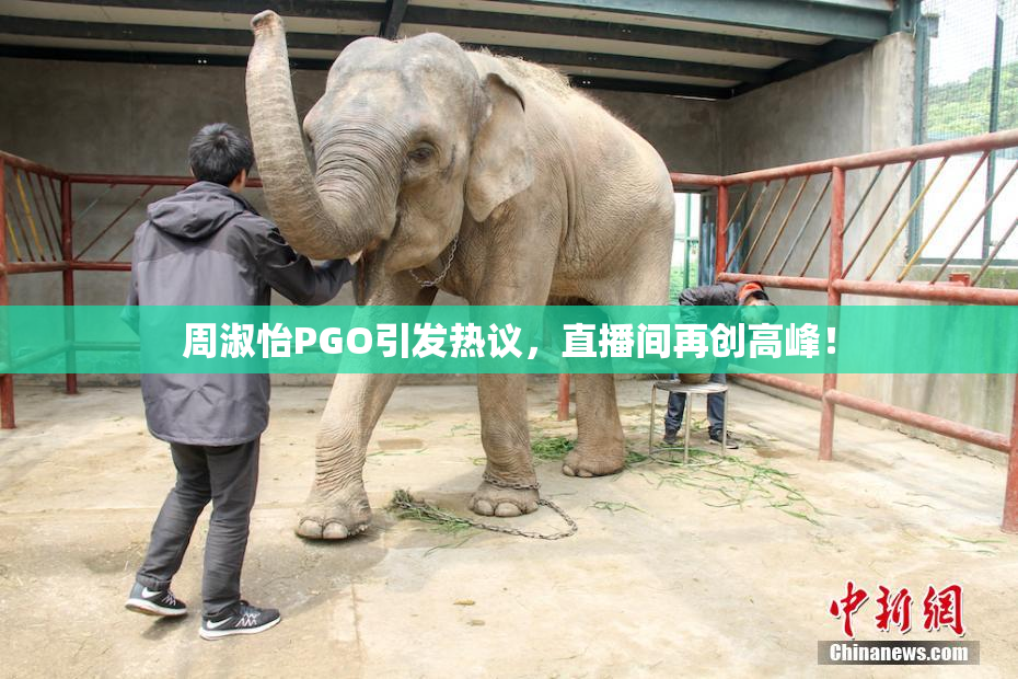 周淑怡PGO引发热议，直播间再创高峰！