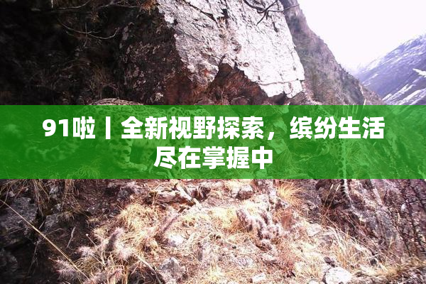 91啦丨全新视野探索，缤纷生活尽在掌握中