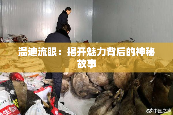 温迪流眼：揭开魅力背后的神秘故事