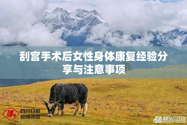 刮宫手术后女性身体康复经验分享与注意事项