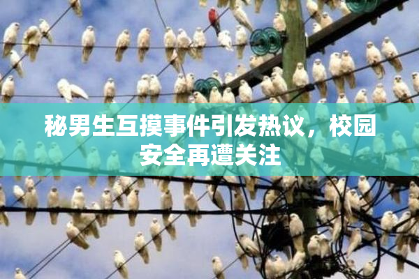 秘男生互摸事件引发热议，校园安全再遭关注