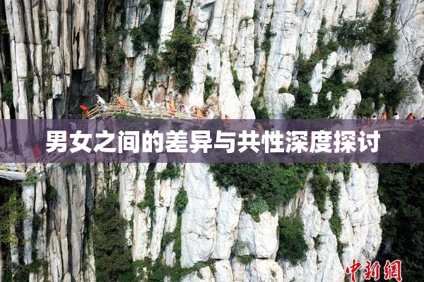 男女之间的差异与共性深度探讨