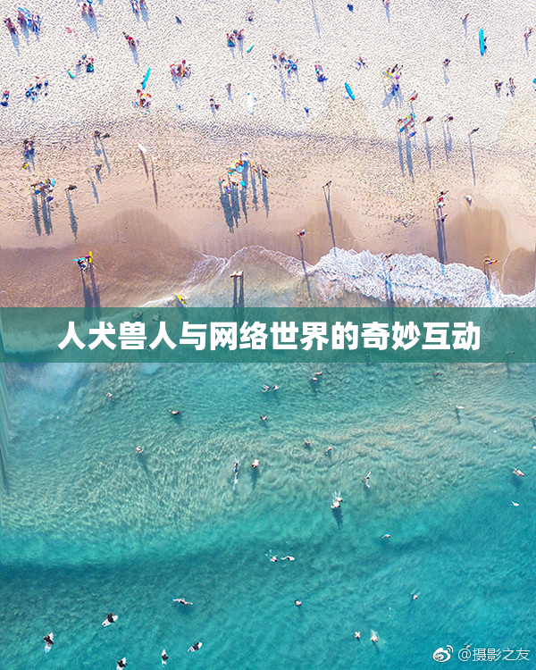 人犬兽人与网络世界的奇妙互动