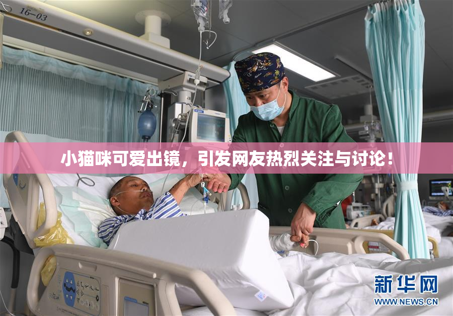 小猫咪可爱出镜，引发网友热烈关注与讨论！