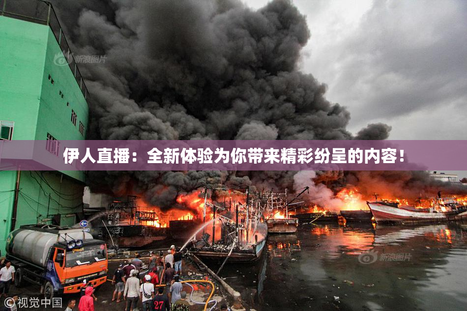 伊人直播：全新体验为你带来精彩纷呈的内容！