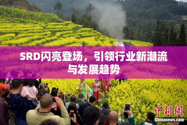 SRD闪亮登场，引领行业新潮流与发展趋势