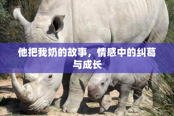 他把我奶的故事，情感中的纠葛与成长