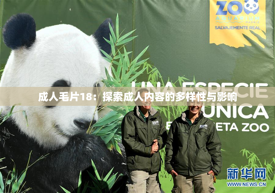 成人毛片18：探索成人内容的多样性与影响