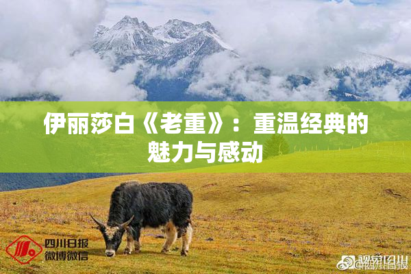 伊丽莎白《老重》：重温经典的魅力与感动