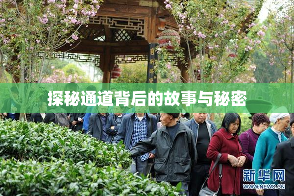 探秘通道背后的故事与秘密