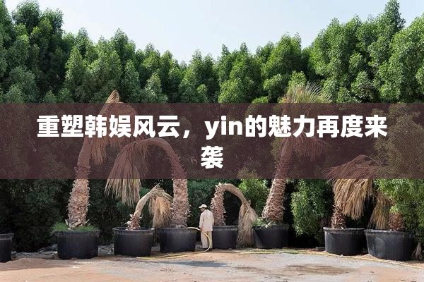重塑韩娱风云，yin的魅力再度来袭