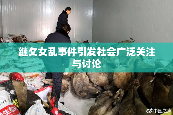 继攵女乱事件引发社会广泛关注与讨论